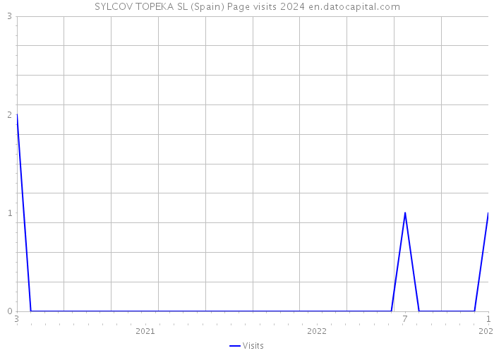 SYLCOV TOPEKA SL (Spain) Page visits 2024 