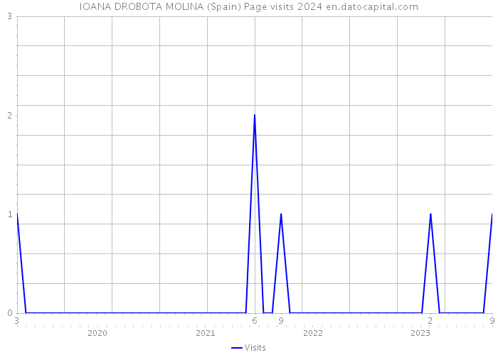 IOANA DROBOTA MOLINA (Spain) Page visits 2024 