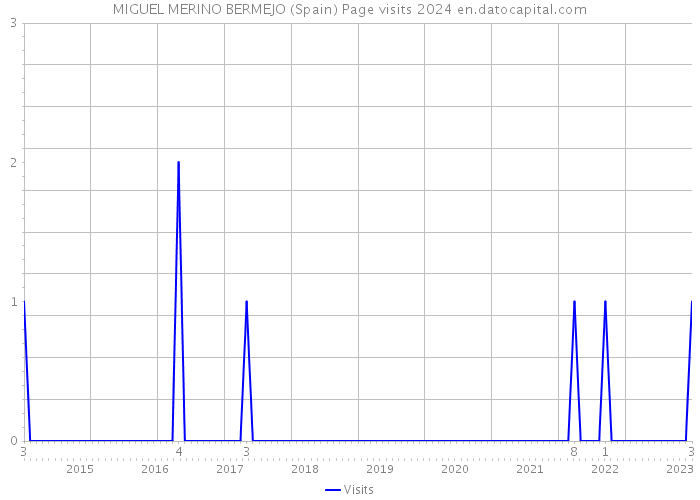 MIGUEL MERINO BERMEJO (Spain) Page visits 2024 