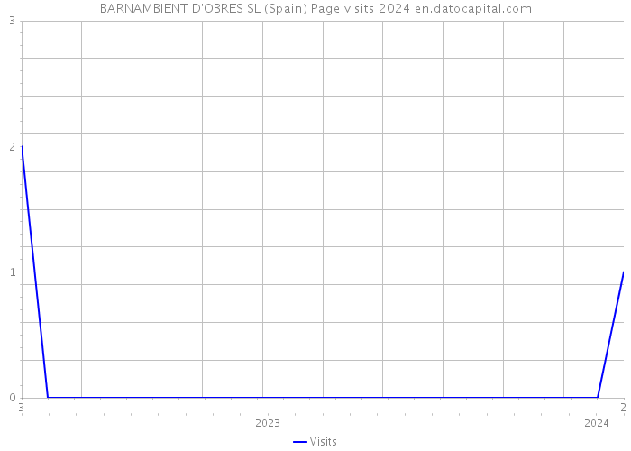 BARNAMBIENT D'OBRES SL (Spain) Page visits 2024 
