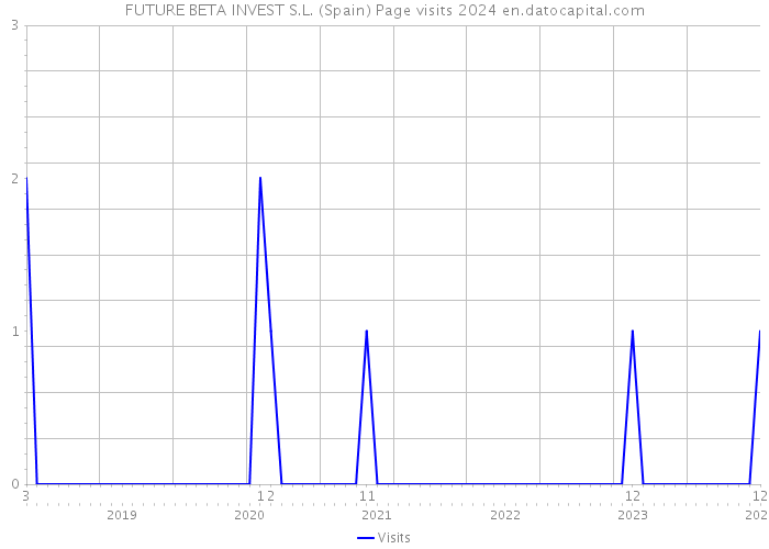 FUTURE BETA INVEST S.L. (Spain) Page visits 2024 