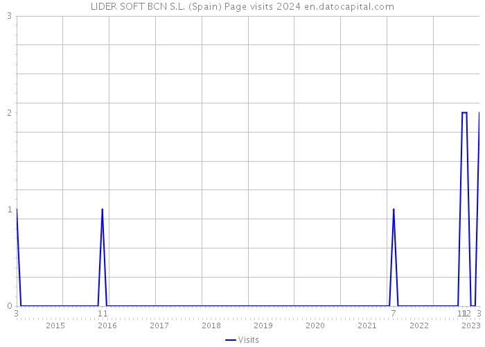 LIDER SOFT BCN S.L. (Spain) Page visits 2024 