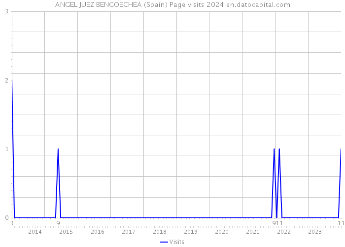 ANGEL JUEZ BENGOECHEA (Spain) Page visits 2024 