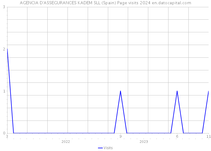 AGENCIA D'ASSEGURANCES KADEM SLL (Spain) Page visits 2024 