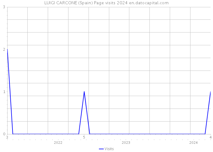 LUIGI CARCONE (Spain) Page visits 2024 