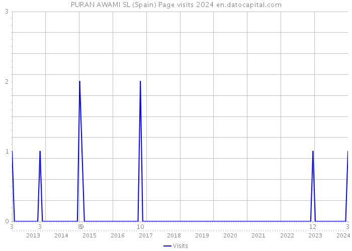 PURAN AWAMI SL (Spain) Page visits 2024 
