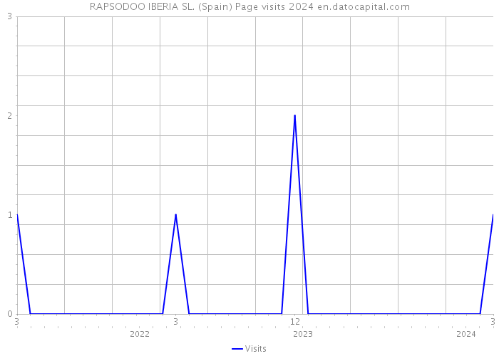 RAPSODOO IBERIA SL. (Spain) Page visits 2024 