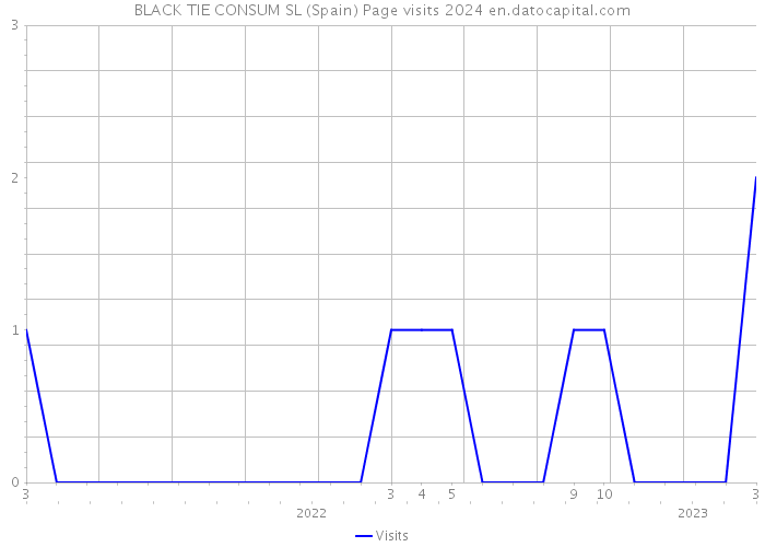 BLACK TIE CONSUM SL (Spain) Page visits 2024 