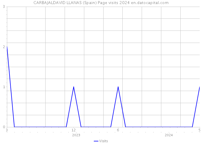 CARBAJALDAVID LLANAS (Spain) Page visits 2024 