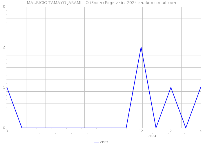 MAURICIO TAMAYO JARAMILLO (Spain) Page visits 2024 