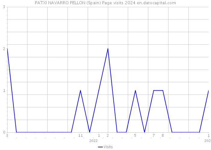 PATXI NAVARRO PELLON (Spain) Page visits 2024 