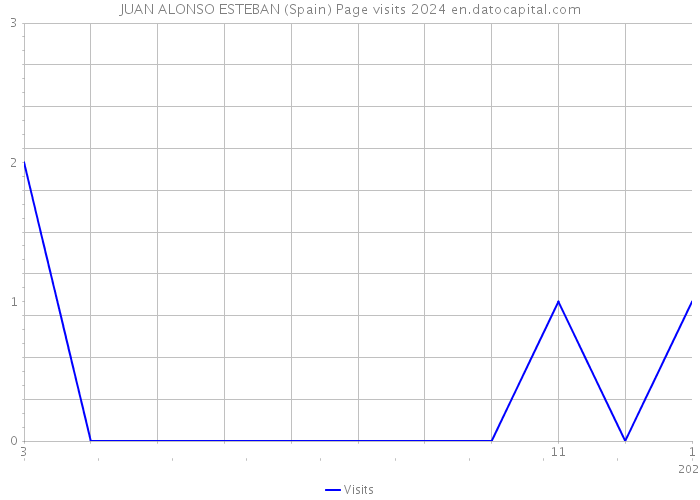 JUAN ALONSO ESTEBAN (Spain) Page visits 2024 