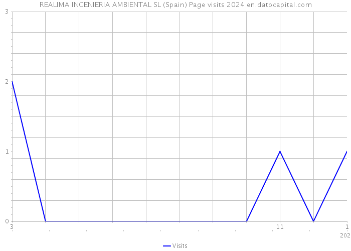 REALIMA INGENIERIA AMBIENTAL SL (Spain) Page visits 2024 