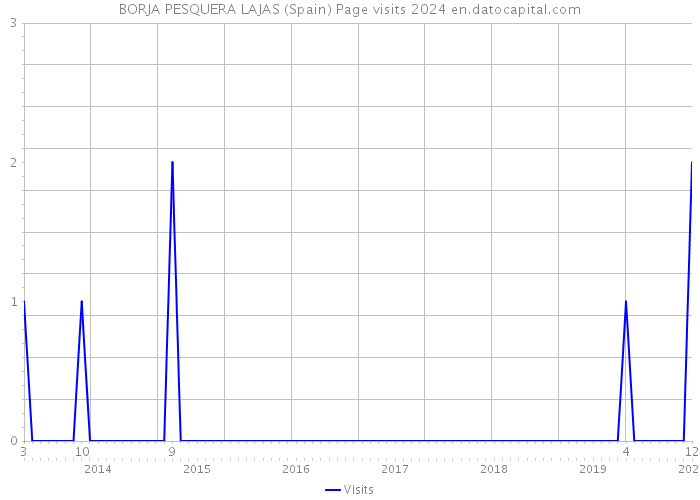 BORJA PESQUERA LAJAS (Spain) Page visits 2024 