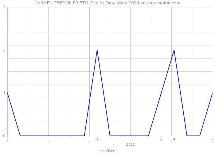 CARMEN TEJEDOR PRIETO (Spain) Page visits 2024 
