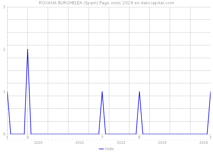 ROXANA BURGHELEA (Spain) Page visits 2024 