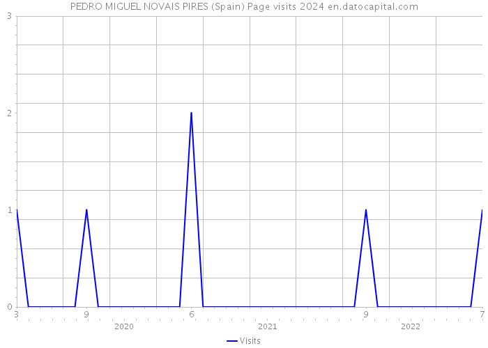 PEDRO MIGUEL NOVAIS PIRES (Spain) Page visits 2024 