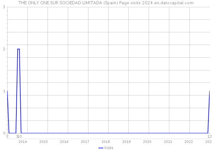 THE ONLY ONE SUR SOCIEDAD LIMITADA (Spain) Page visits 2024 