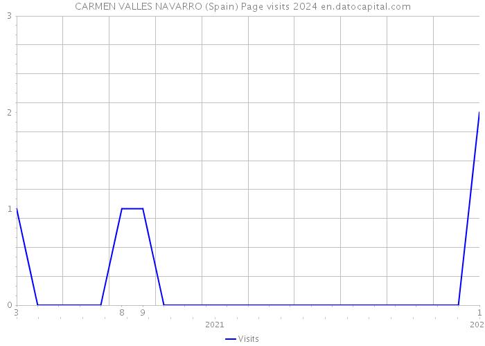 CARMEN VALLES NAVARRO (Spain) Page visits 2024 
