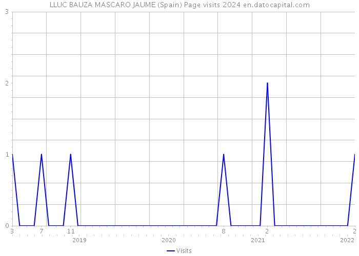 LLUC BAUZA MASCARO JAUME (Spain) Page visits 2024 