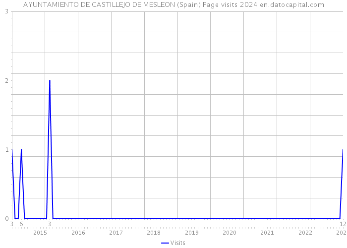 AYUNTAMIENTO DE CASTILLEJO DE MESLEON (Spain) Page visits 2024 
