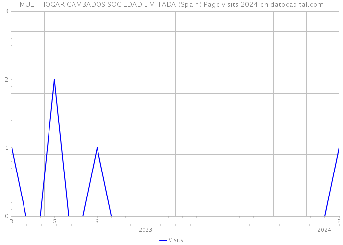 MULTIHOGAR CAMBADOS SOCIEDAD LIMITADA (Spain) Page visits 2024 