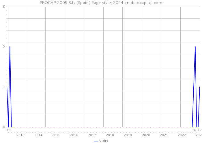 PROCAP 2005 S.L. (Spain) Page visits 2024 