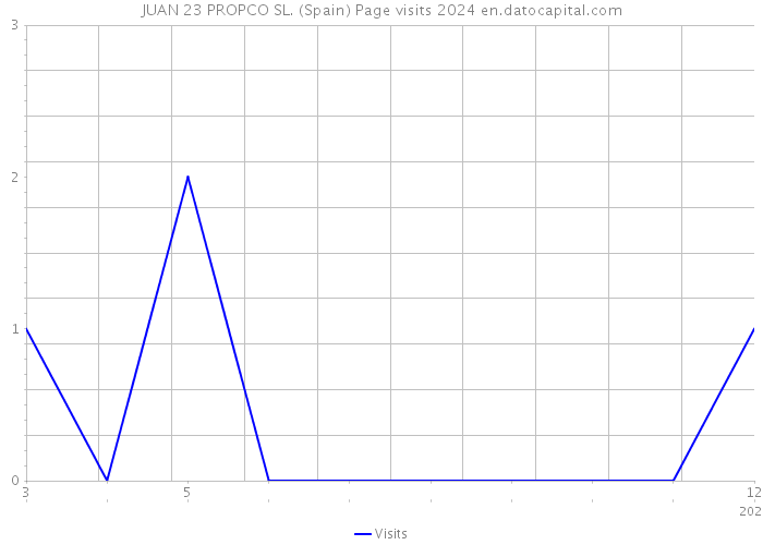 JUAN 23 PROPCO SL. (Spain) Page visits 2024 