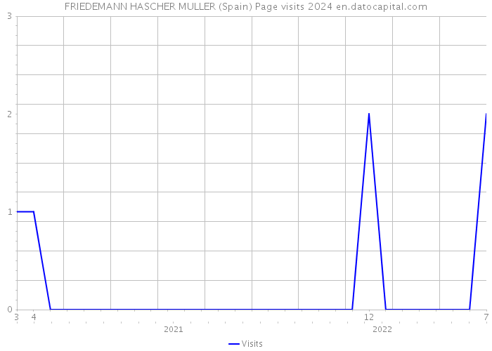 FRIEDEMANN HASCHER MULLER (Spain) Page visits 2024 