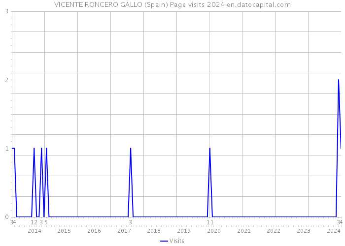 VICENTE RONCERO GALLO (Spain) Page visits 2024 