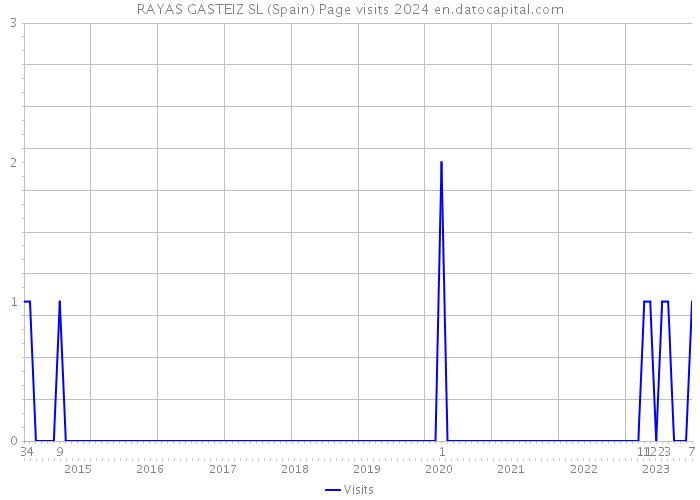 RAYAS GASTEIZ SL (Spain) Page visits 2024 
