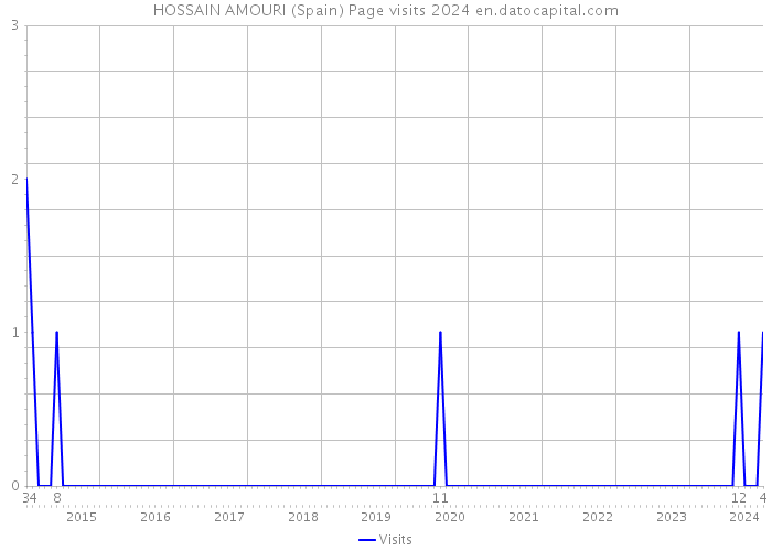 HOSSAIN AMOURI (Spain) Page visits 2024 