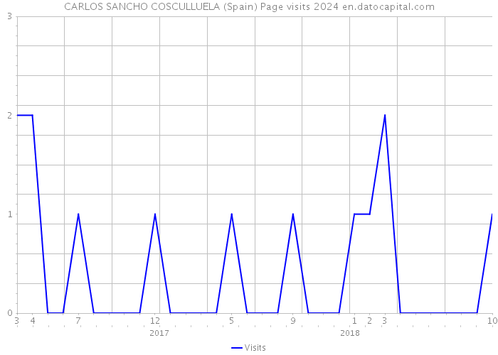 CARLOS SANCHO COSCULLUELA (Spain) Page visits 2024 
