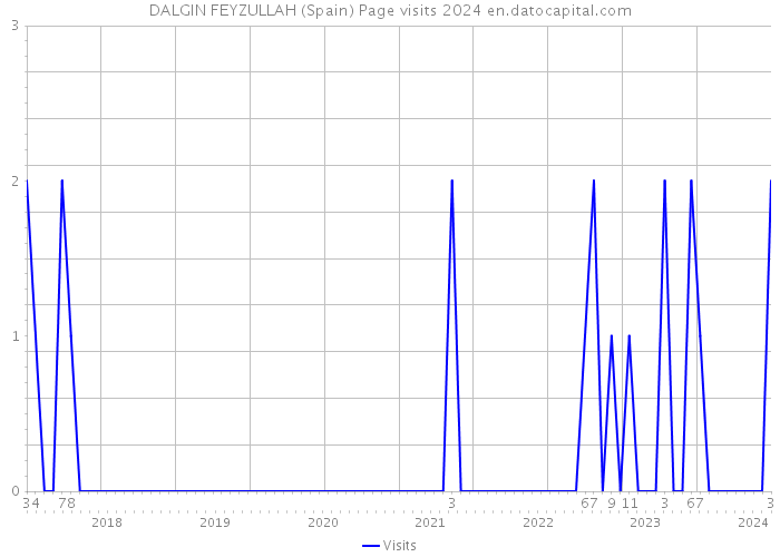 DALGIN FEYZULLAH (Spain) Page visits 2024 