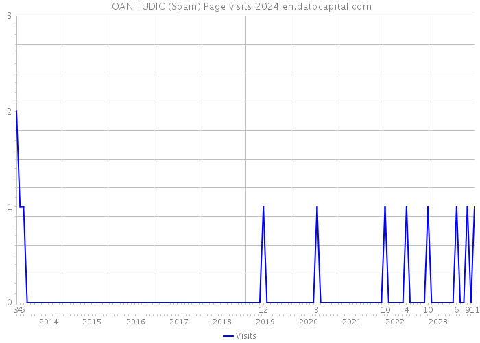 IOAN TUDIC (Spain) Page visits 2024 