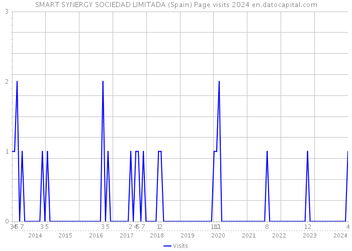 SMART SYNERGY SOCIEDAD LIMITADA (Spain) Page visits 2024 