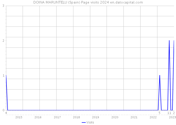 DOINA MARUNTELU (Spain) Page visits 2024 