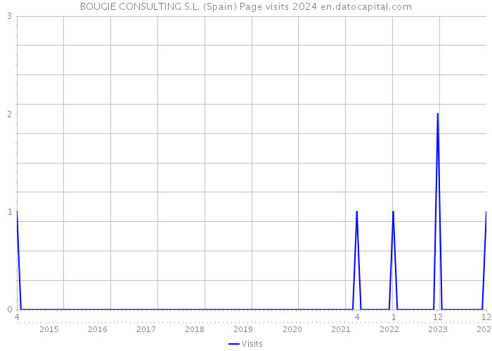 BOUGIE CONSULTING S.L. (Spain) Page visits 2024 
