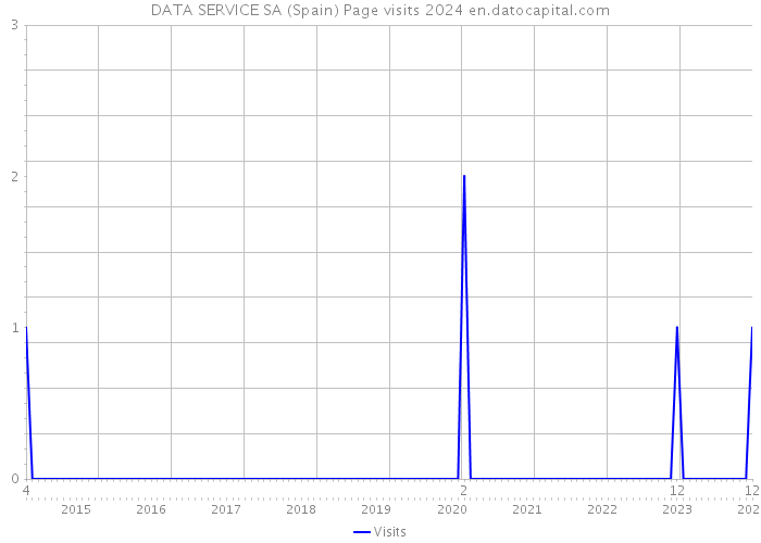 DATA SERVICE SA (Spain) Page visits 2024 