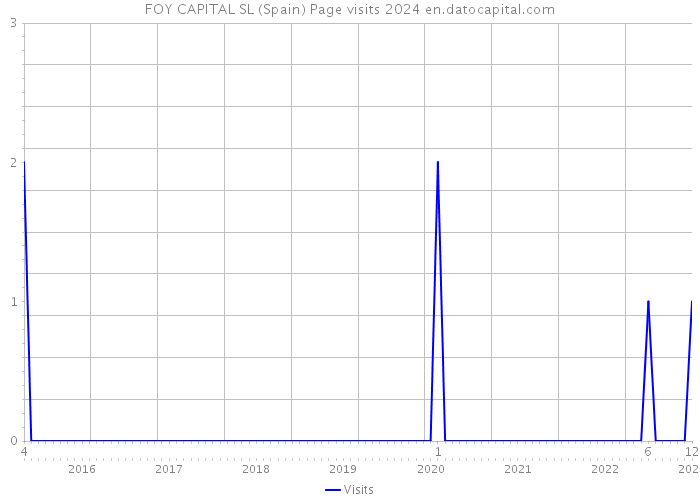 FOY CAPITAL SL (Spain) Page visits 2024 