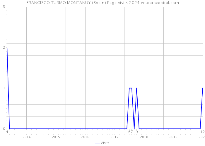 FRANCISCO TURMO MONTANUY (Spain) Page visits 2024 