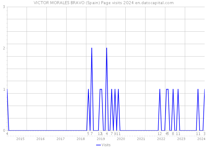 VICTOR MORALES BRAVO (Spain) Page visits 2024 
