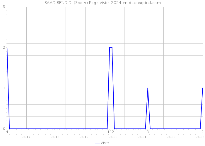SAAD BENDIDI (Spain) Page visits 2024 