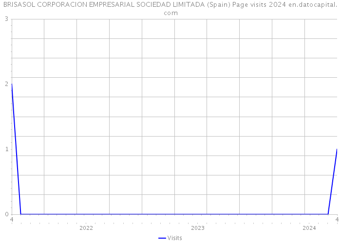 BRISASOL CORPORACION EMPRESARIAL SOCIEDAD LIMITADA (Spain) Page visits 2024 