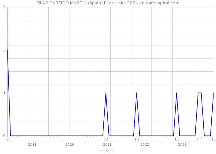 PILAR GARRIDO MARTIN (Spain) Page visits 2024 