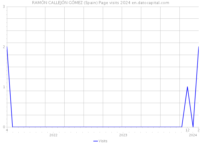RAMÓN CALLEJÓN GÓMEZ (Spain) Page visits 2024 