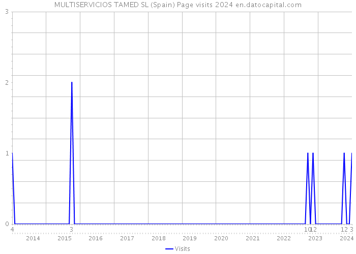 MULTISERVICIOS TAMED SL (Spain) Page visits 2024 