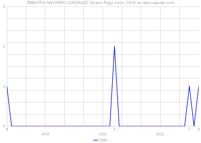 SEBASTIA NAVARRO GONZALEZ (Spain) Page visits 2024 
