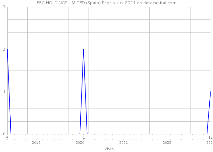 BBG HOLDINGS LIMITED (Spain) Page visits 2024 