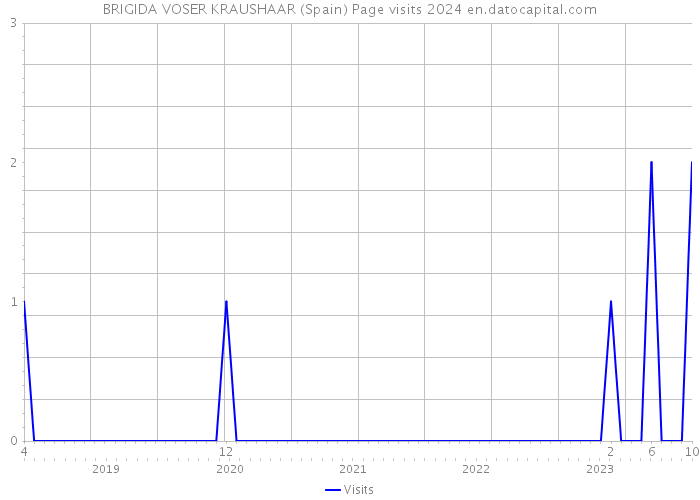 BRIGIDA VOSER KRAUSHAAR (Spain) Page visits 2024 